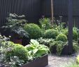 Garten Idee Schön Kleinen Vorgarten Gestalten — Temobardz Home Blog