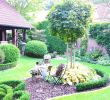 Garten Ideen Diy Elegant 28 Lovely Garden In Back Yard
