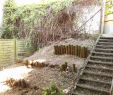 Garten Ideen Günstig Einzigartig Terrasse Blickdicht Machen — Temobardz Home Blog