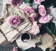 Garten Katalog Schön ð Jasmina ð On Instagram “un Petit Bouquet De Rose Pour