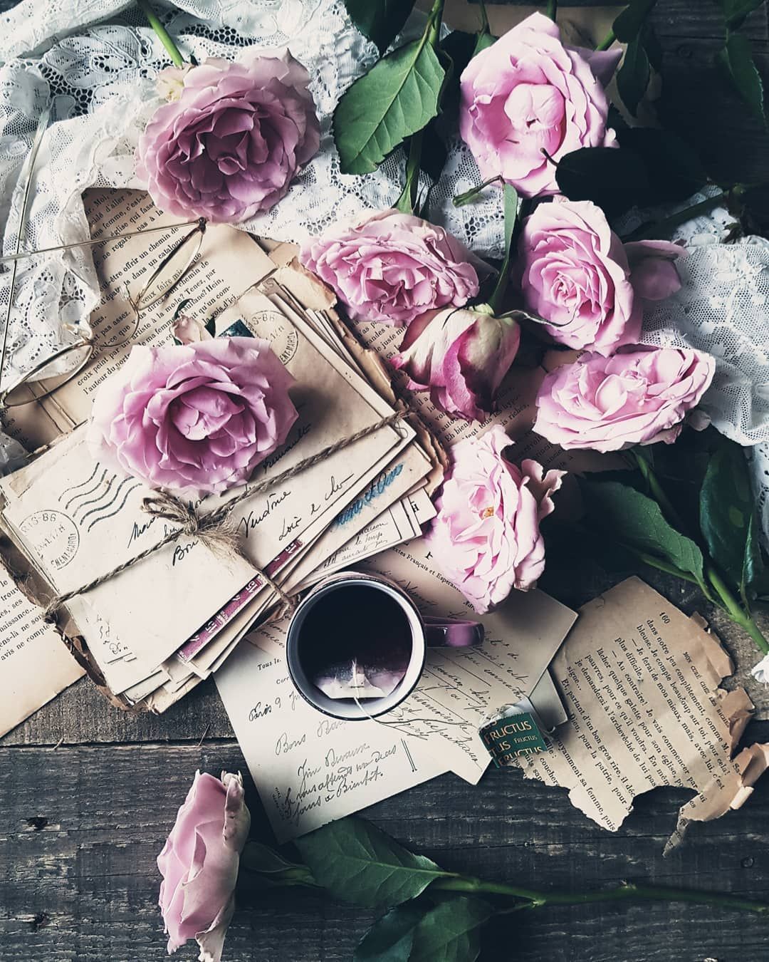 Garten Katalog Schön ð Jasmina ð On Instagram “un Petit Bouquet De Rose Pour