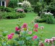 Garten Landschaftsbau Best Of Garten Und Landschaftsarchitekt — Temobardz Home Blog