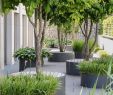 Garten Landschaftsbau Inspirierend Grün Entspannt Augen Das Geschäftshaus Erlen In