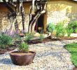 Garten Mit Steinen Gestalten Best Of Gartengestaltung Mit Findlingen — Temobardz Home Blog