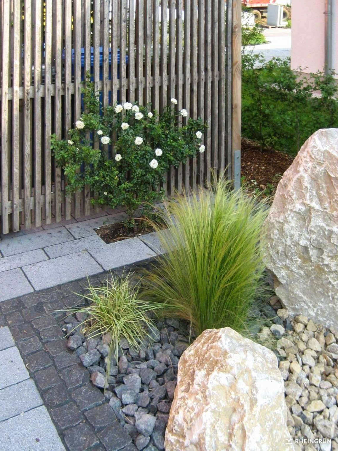Garten Modern Bepflanzen Neu Pflanzen Garten Sichtschutz — Temobardz Home Blog