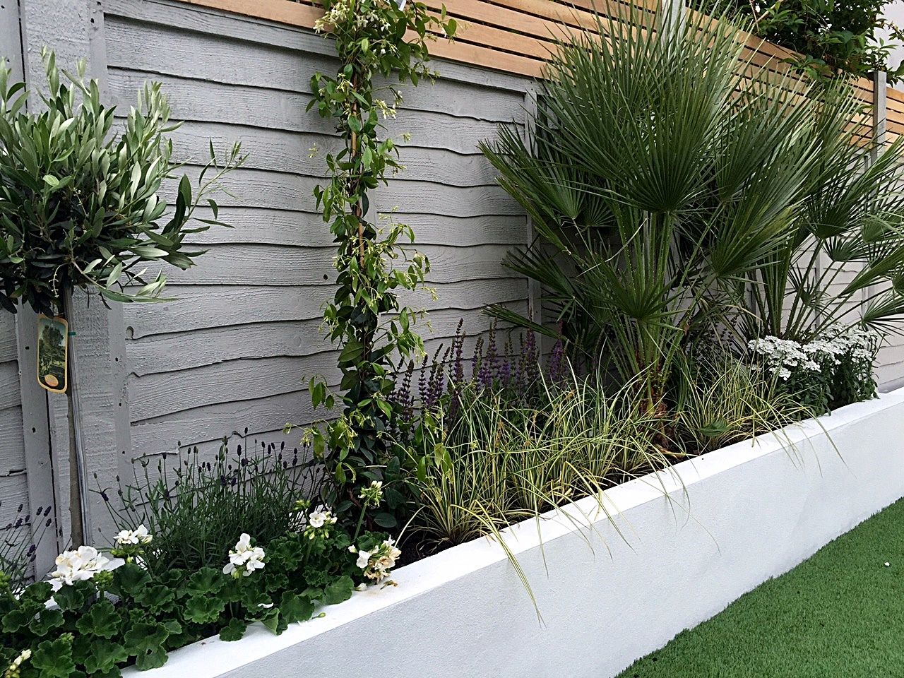 Garten Modern Bepflanzen Neu Render Walls Planting Small Garden Design Painted Fence