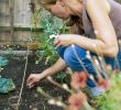 Garten Online Frisch Buy Garden Plants Line Elegant Pflanzen Kaufen Line Neu