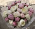 Garten Online Shop Elegant Bouquet Of 35 Pions