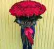 Garten Online Shop Genial 101 Imported Rose 1m