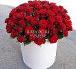 Garten Online Shop Luxus 101 Red Rose In A Box