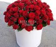 Garten Online Shop Luxus 101 Red Rose In A Box