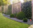 Garten Onlineshop Luxus Pflanzen Garten Sichtschutz — Temobardz Home Blog