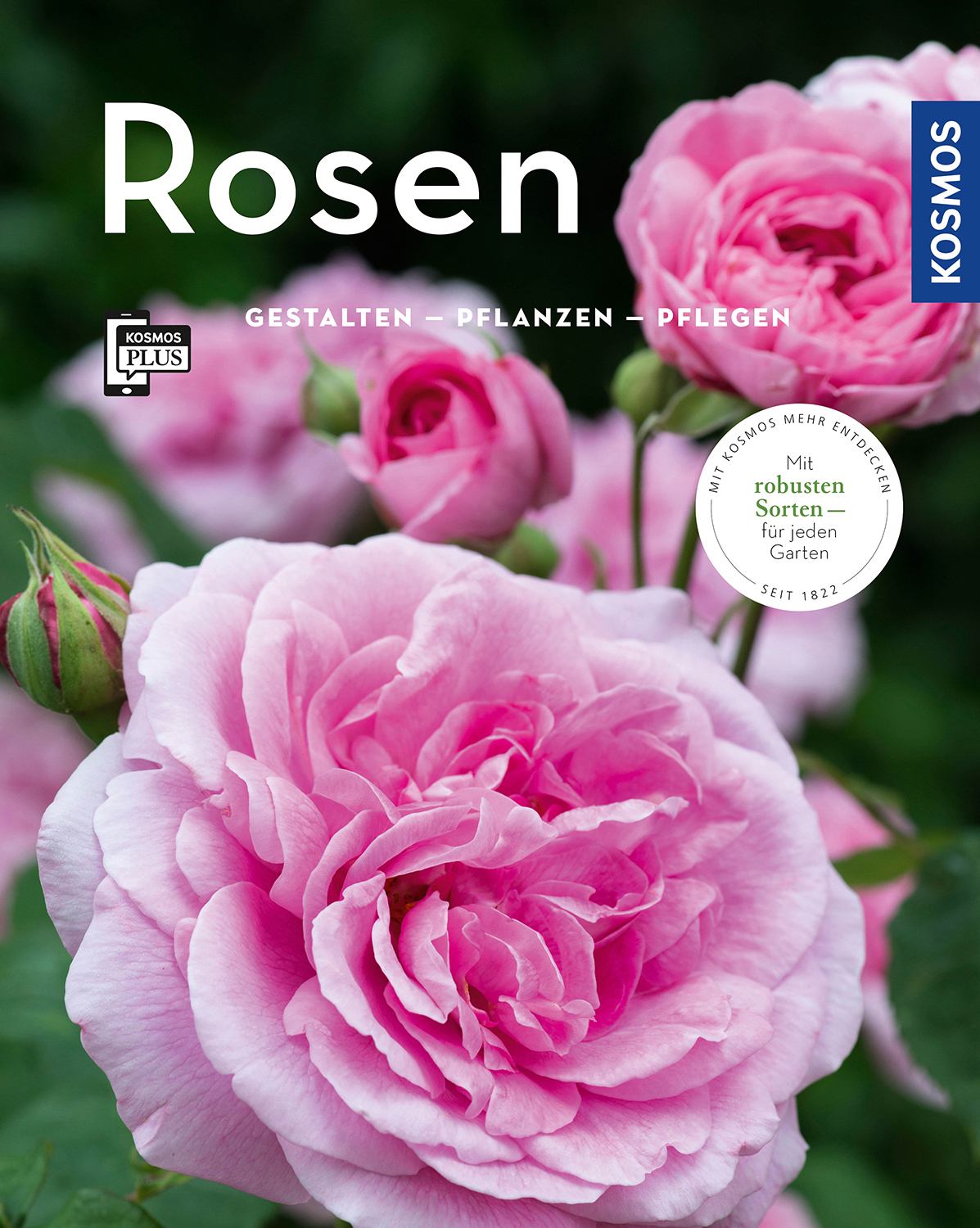 Garten Onlineshop Schön Rosen Mein Garten
