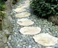 Garten Pflastern Schön Gartenwege Anlegen – Ideen Für Das Verlegen Der Trittsteine