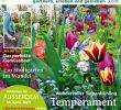 Garten Planen Online Inspirierend Cfcfcfcfecefcefy by Elcicario43 issuu