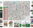Garten Schön Machen Schön Coffeeshopmap 2018 Online by Rachel De Graaf issuu