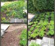 Garten Selber Gestalten Best Of 30 Einzigartig Vertikaler Garten Diy Reizend