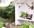 Garten Sichtschutz Holz Schöner Wohnen Frisch Pflanzen Als Sichtschutz Im Kübel — Temobardz Home Blog