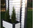 Garten Sichtschutz Holz Schöner Wohnen Genial Pflanzen Als Sichtschutz Im Kübel — Temobardz Home Blog