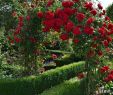 Garten solar Deko Einzigartig Victorian Rose Arch Kiftsgate by Classic Garden Elements