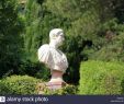 Garten Statue Einzigartig Antique Caesar Bust In Summer Garden Stock