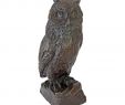Garten Statue Elegant Design toscano the Wise Owl Bronze Garden Statue