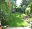 Garten Steine Deko Elegant Gartengestaltung Ideen Mit Steinen — Temobardz Home Blog