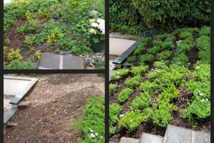 Garten Steine Deko Genial Gartengestaltung Ideen Mit Steinen — Temobardz Home Blog