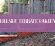 Garten Terrasse Best Of Hang Terrasse Garten Gardening