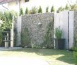 Garten Terrasse Luxus Pflanzen Garten Sichtschutz — Temobardz Home Blog