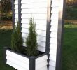 Garten Terrassengestaltung Frisch Pflanzen Garten Sichtschutz — Temobardz Home Blog