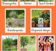 Garten Tipps Luxus Pinterest