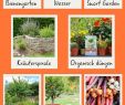 Garten Tipps Luxus Pinterest