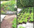 Garten Tischdeko Best Of Deko Garten Selber Machen — Temobardz Home Blog