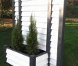 Garten Und Terrassengestaltung Einzigartig Pflanzen Garten Sichtschutz — Temobardz Home Blog