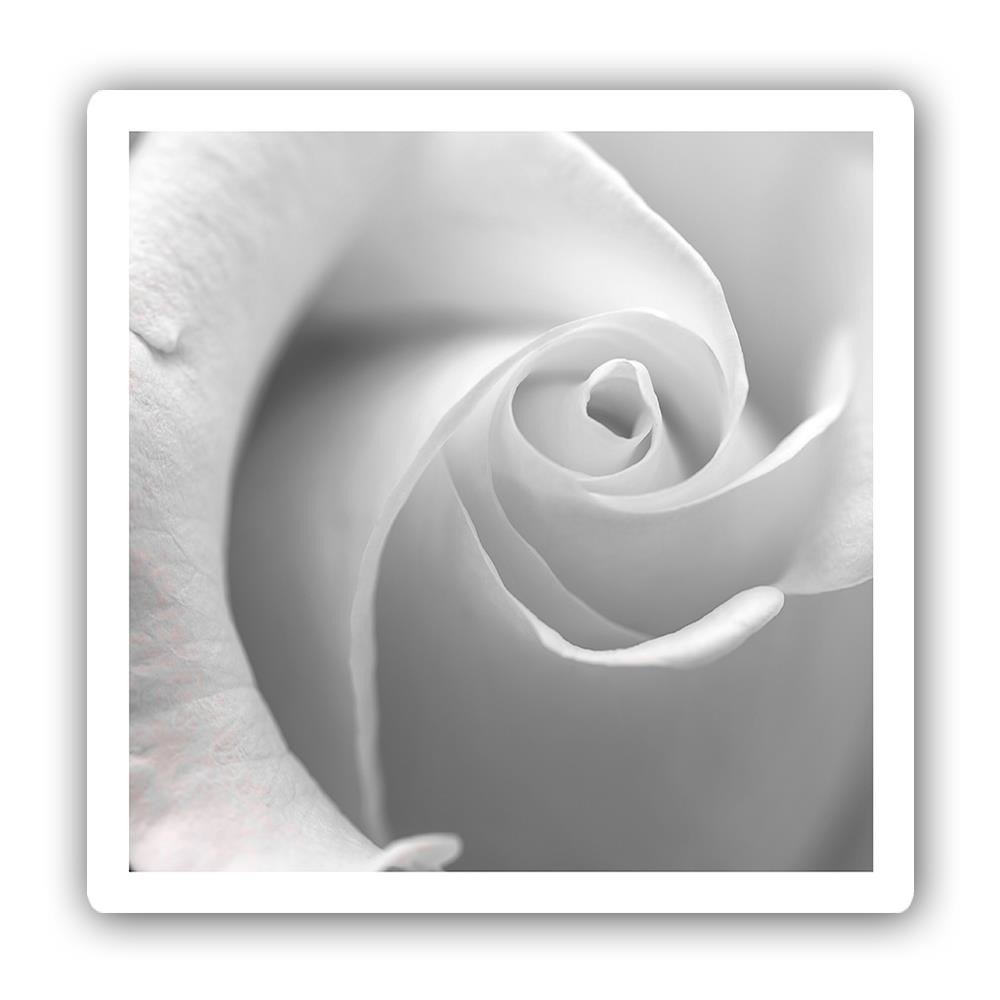 wydruk na metalu feeby wanddeko rozy kwiat bialo szara 30x30 cm b iext