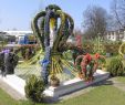 Garten Wände Gestalten Best Of Deutschland Ev Wo Findet