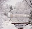 Garten Winterdeko Best Of Pin by Verena Maria On Winter Deko
