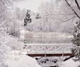 Garten Winterdeko Best Of Pin by Verena Maria On Winter Deko