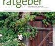 Gartenaccessoires Eisen Genial Der Praktische Gartenratgeber 07 2018 Pages 1 14 Text