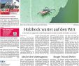 Gartenaccessoires Landhausstil Best Of Weser Report Achim Oyten Verden Vom 12 05 2019 by Kps