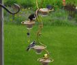 Gartenaccessoires Metall Best Of 180 Best Bird House and Bird Feeder Images