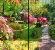 Gartenanlage Gestalten Best Of Natur Panorama Xl Bedruckte Sichtschutzstreifen Für Doppelstabmattenzaun