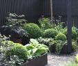 Gartenanlage Gestalten Schön Kleinen Garten Gestalten — Temobardz Home Blog