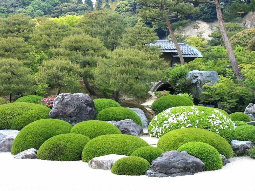 garden hedges picture of japan garten das beste von japanischer garten bilder frisch s user of garden hedges