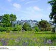 Gartenbau Luxus ÐÑÐ¸ÑÐ¾Ð´Ð° Palmen Garten Ð¤ÑÐ°Ð½ÐºÑÑÑÑÐ° Ð½Ð° ÐÐ°Ð¹Ð½Ðµ Hessen ÐÐµÑÐ¼Ð°Ð½Ð¸Ð¸