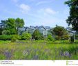 Gartenbau Luxus ÐÑÐ¸ÑÐ¾Ð´Ð° Palmen Garten Ð¤ÑÐ°Ð½ÐºÑÑÑÑÐ° Ð½Ð° ÐÐ°Ð¹Ð½Ðµ Hessen ÐÐµÑÐ¼Ð°Ð½Ð¸Ð¸