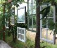 Gartenbaum Luxus 10 Ways to Upcycle Old Wood Windows In Your Home