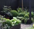 Gartenbedarf Onlineshop Einzigartig Gabionen Gartengestaltung Bilder — Temobardz Home Blog