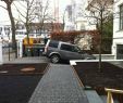 Gartenbedarf Onlineshop Neu Halb Schattiger Vorgarten In Hamburg Winterhude
